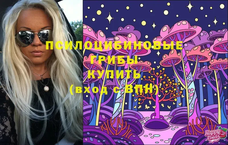 Галлюциногенные грибы MAGIC MUSHROOMS  купить наркотик  Владикавказ 